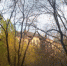 uIWGFLXXjaE.jpg - Новости Перми PermNews.Ru