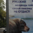 Моя тайга - Business Class