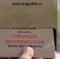 В Перми появятся еще четыре бокса с пакетами для собачьих экскрементов - 59.Ru