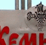 Пьяный пермяк остановил в Карелии московский скорый - Газета Звезда