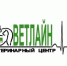 Пермским ветеринарам удалось спасти кота, разорванного собаками на части - ПГСХА