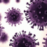 flu model - ГБУЗ ПК ПККИБ