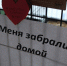 котопёс - Т7-Информ