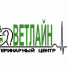 ВЕТЕРИНАРАМ В ПЕРМИ УДАЛОСЬ ВЕРНУТЬ ЗРЕНИЕ СОБАКЕ, ОСЛЕПШЕЙ ПОСЛЕ ДТП - ПГСХА