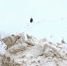гора снега - Т7-Информ