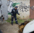 В Кунгуре автомобиль провалился под землю - 59.Ru