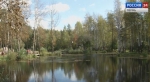 лес
