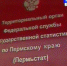 Пермьстат - Т7-Информ