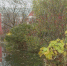 потоп - Т7-Информ