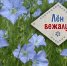 Лён.jpg - Министерство культуры