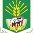 СПОРТИВНАЯ ЖИЗНЬ УНИВЕРСИТЕТА - ПГСХА