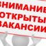 О дате проведения конкурса на замещение вакантных должностей федеральной государственной гражданской службы - Министерство юстиции