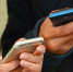 В Перми расписание общественного транспорта можно узнать в Viber - Ветта