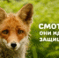 Защита животных - Новый Компаньон