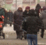 прогноз - Т7-Информ