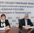 Вопросы по «Стратегии» по-прежнему волнуют пермяков - ОПФР по Пермскому краю