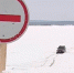 В Пермском крае начали закрывать ледовые переправы - Ветта