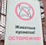В Перми за 8 млн рублей продают аллигатора - Business Class