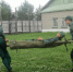 Несовершеннолетние осуждённые Пермской воспитательной колонии ГУФСИН России по Пермскому краю приняли участие в военно-патриотической игре «Зарница» - УФСИН по Пермскому краю
