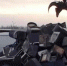 Полиция уничтожила более тысячи покерных столов и игровых автоматов - Ветта
