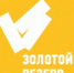 Проект «Золотой резерв» вошел в список финалистов лучших социально-экономических практик России - PermOnline.Ru