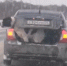 В Перми на трассе собака выпрыгнула из машины прямо под колеса других автомобилей - Ветта