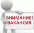 Главный специалист, контролер-ревизор контрольно-ревизионного отдела финансово-экономического управления администрации муниципального образования «Пермский муниципальный район». - Пермский муниципальный район