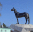 ПО КОНЯМ! - VisitPerm.Ru
