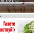 Фотография к материалу: Сегодня день рождения газеты "Здравствуй!" - Пермская краевая организация Всероссийского общества инвалидов
