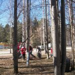 Субботник в Добрянке.