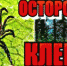 ОСТОРОЖНО, КЛЕЩИ !!! - ГБУЗ ПК ГКП №5