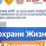 Пятая Глобальная неделя безопасности дорожного движения ООН - ГИБДД Пермского края