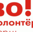 Накануне Пермского международного марафона будет работать «Школа спортивного волонтера» - PermOnline.Ru