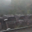 поезд.png - Новости Перми PermNews.Ru