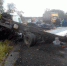 26.09_dtp_chernushka_1-800x600.jpg - Новости Перми PermNews.Ru