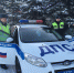 В Прикамье полицейский спас упавшего с моста человека - ГИБДД Пермского края