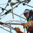 Энергетики подключили к сетям две строящиеся в Бардымском районе cельских школы - Новости Перми PermNews.Ru