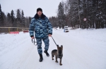 JPG Файл