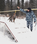 JPG Файл