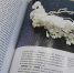 В Перми состоится презентация книги, посвященной традиционному костюму русских жителей Пермского края - Министерство культуры