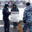 OxKemKFjeEc.jpg - Новости Перми PermNews.Ru