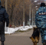 Самоизоляция: куда и как можно ходить пермякам - Новости Перми PermNews.Ru