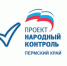 Динамика цен под «Народным контролем» - Пермская городская Дума