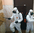 За два месяца подъезды многоквартирных домов столицы Прикамья обработаны 27 тысяч раз - Администрация губернатора