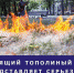 Как предотвратить пожар в сухую ветреную погоду - Министерство территориальной безопасности