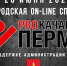 В городе Перми прошла первая онлайн-спартакиады «PROкачаем Пермь» - Пермская городская Дума