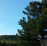 ОНФ в Пермском крае ускорил процесс налаживания телефонной связи в пос... - ОНФ в Пермском крае