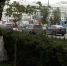 Деревья в центре Перми вылечат - ГТРК Пермь