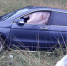 1_suksun-800x600.jpg - Новости Перми PermNews.Ru