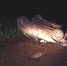 1(411)-800x600.jpg - Новости Перми PermNews.Ru